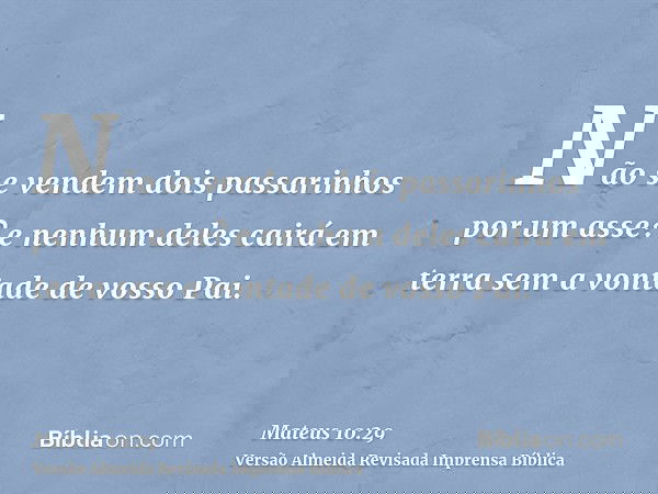 Não se vendem dois passarinhos por um asse? e nenhum deles cairá em terra sem a vontade de vosso Pai.