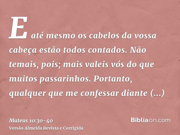 O pesadelo que jamais dexarei de viver a phayra10 - Pensador