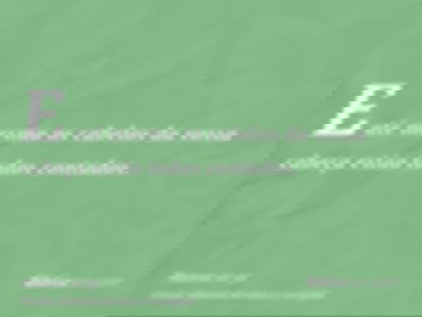 E até mesmo os cabelos da vossa cabeça estão todos contados.