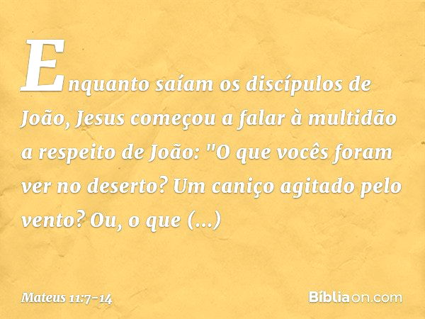 Enquanto saíam os discípulos de João, Jesus começou a falar à multidão a respeito de João: "O que vocês foram ver no deserto? Um caniço agitado pelo vento? Ou, 