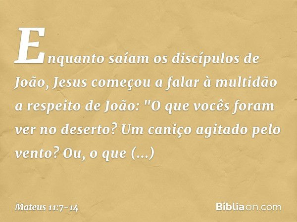 Enquanto saíam os discípulos de João, Jesus começou a falar à multidão a respeito de João: "O que vocês foram ver no deserto? Um caniço agitado pelo vento? Ou, 