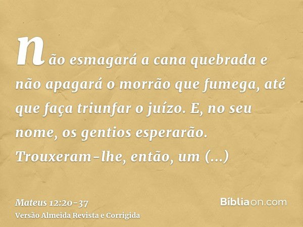 não esmagará a cana quebrada e não apagará o morrão que fumega, até que faça triunfar o juízo.E, no seu nome, os gentios esperarão.Trouxeram-lhe, então, um ende