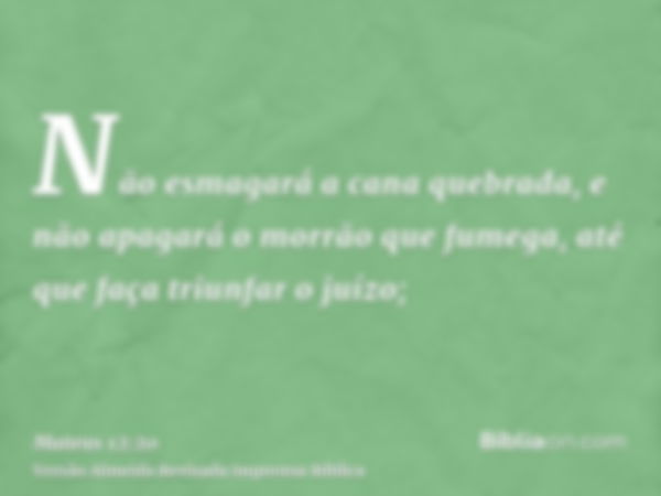 Não esmagará a cana quebrada, e não apagará o morrão que fumega, até que faça triunfar o juízo;