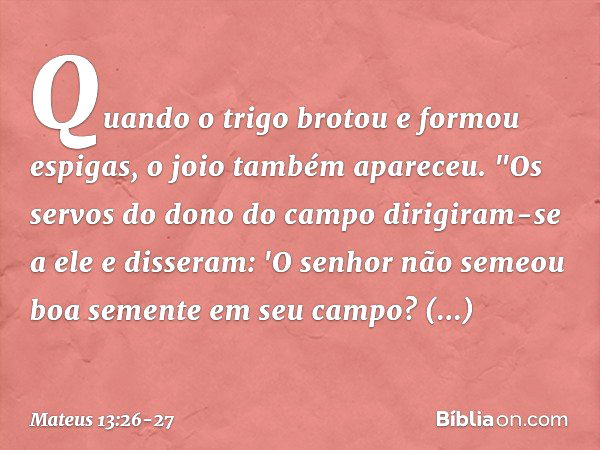 Quando o trigo brotou e formou espigas, o joio também apareceu. "Os servos do dono do campo dirigiram-se a ele e disseram: 'O senhor não semeou boa semente em s