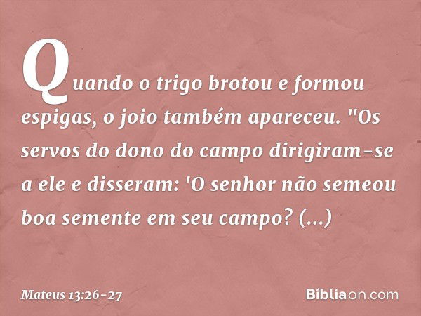 Quando o trigo brotou e formou espigas, o joio também apareceu. "Os servos do dono do campo dirigiram-se a ele e disseram: 'O senhor não semeou boa semente em s