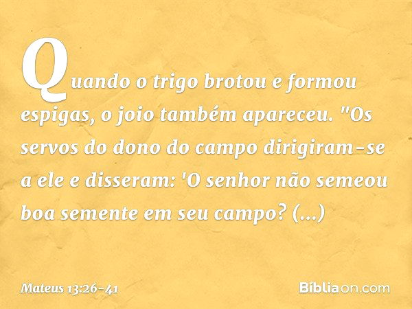 Quando o trigo brotou e formou espigas, o joio também apareceu. "Os servos do dono do campo dirigiram-se a ele e disseram: 'O senhor não semeou boa semente em s