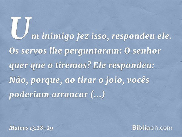 " 'Um inimigo fez isso', respondeu ele.
"Os servos lhe perguntaram: 'O senhor quer que o tiremos?' "Ele respondeu: 'Não, porque, ao tirar o joio, vocês poderiam