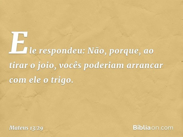 "Ele respondeu: 'Não, porque, ao tirar o joio, vocês poderiam arrancar com ele o trigo. -- Mateus 13:29