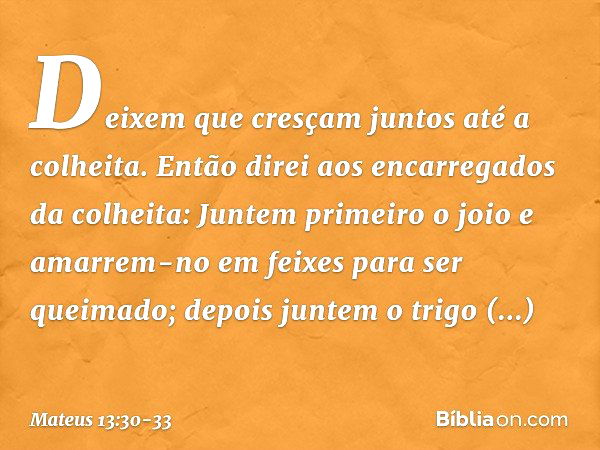 Deixem que cresçam juntos até a colheita. Então direi aos encarregados da colheita: Juntem primeiro o joio e amarrem-no em feixes para ser queimado; depois junt