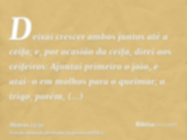 Deixai crescer ambos juntos até a ceifa; e, por ocasião da ceifa, direi aos ceifeiros: Ajuntai primeiro o joio, e atai-o em molhos para o queimar; o trigo, poré