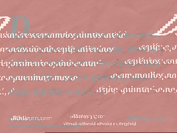 Deixai crescer ambos juntos até à ceifa; e, por ocasião da ceifa, direi aos ceifeiros: colhei primeiro o joio e atai-o em molhos para o queimar; mas o trigo, aj