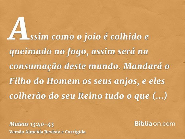 Assim como o joio é colhido e queimado no fogo, assim será na consumação deste mundo.Mandará o Filho do Homem os seus anjos, e eles colherão do seu Reino tudo o