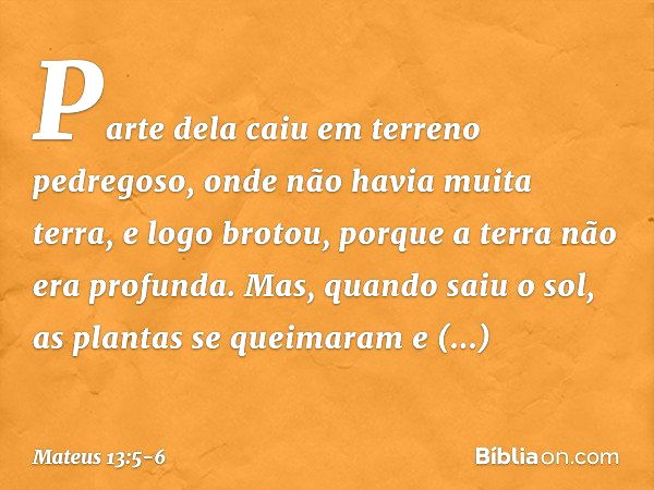 Parte dela caiu em terreno pedregoso, onde não havia muita terra, e logo brotou, porque a terra não era profunda. Mas, quando saiu o sol, as plantas se queimara