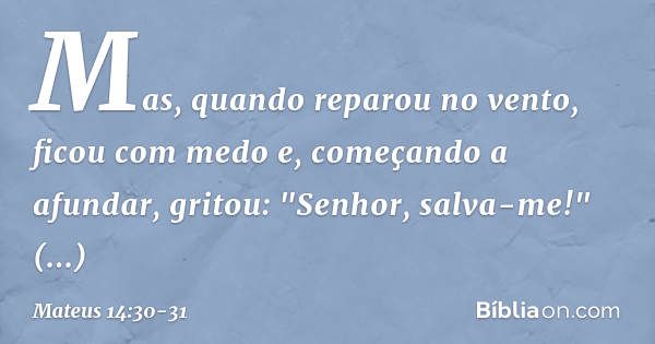 explicação mateus 14 30