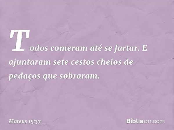 Todos comeram até se fartar. E ajuntaram sete cestos cheios de pedaços que sobraram. -- Mateus 15:37