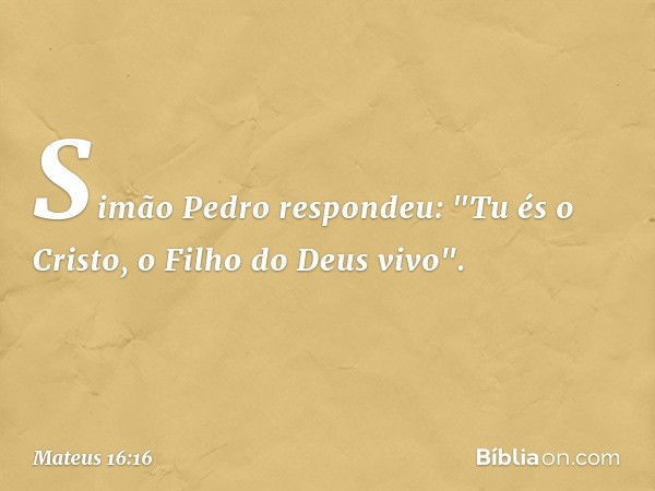 Simão Pedro respondeu: "Tu és o Cristo, o Filho do Deus vivo". -- Mateus 16:16