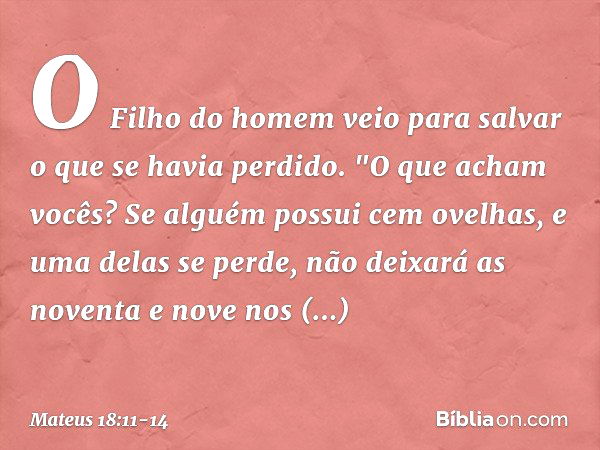 O Filho do homem veio para salvar o que se havia perdido. "O que acham vocês? Se alguém possui cem ovelhas, e uma delas se perde, não deixará as noventa e nove 