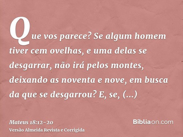 Que vos parece? Se algum homem tiver cem ovelhas, e uma delas se desgarrar, não irá pelos montes, deixando as noventa e nove, em busca da que se desgarrou?E, se