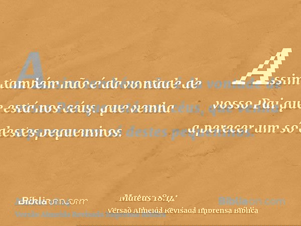 Assim também não é da vontade de vosso Pai que está nos céus, que venha a perecer um só destes pequeninos.