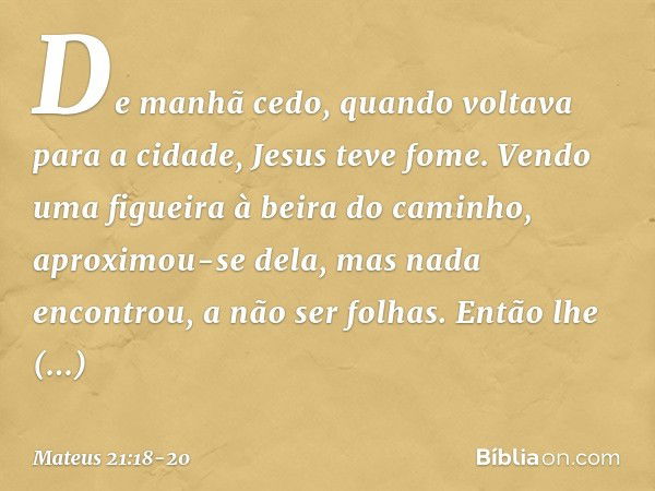 De manhã cedo, quando voltava para a cidade, Jesus teve fome. Vendo uma figueira à beira do caminho, aproximou-se dela, mas nada encontrou, a não ser folhas. En