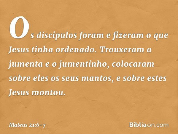 Os discípulos foram e fizeram o que Jesus tinha ordenado. Trouxeram a jumenta e o jumentinho, colocaram sobre eles os seus mantos, e sobre estes Jesus montou. -