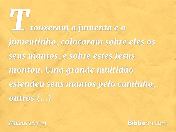 Trouxeram a jumenta e o jumentinho, colocaram sobre eles os seus mantos, e sobre estes Jesus montou. Uma grande multidão estendeu seus mantos pelo caminho, outr