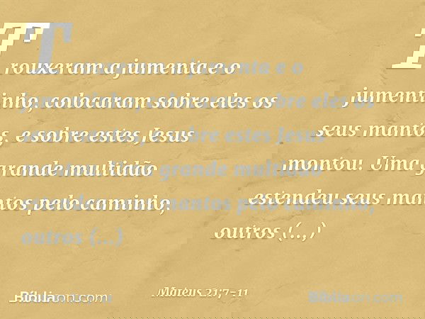 Trouxeram a jumenta e o jumentinho, colocaram sobre eles os seus mantos, e sobre estes Jesus montou. Uma grande multidão estendeu seus mantos pelo caminho, outr