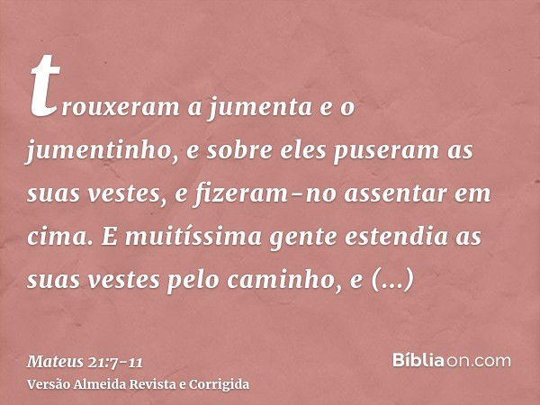 trouxeram a jumenta e o jumentinho, e sobre eles puseram as suas vestes, e fizeram-no assentar em cima.E muitíssima gente estendia as suas vestes pelo caminho, 