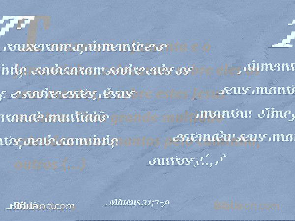 Trouxeram a jumenta e o jumentinho, colocaram sobre eles os seus mantos, e sobre estes Jesus montou. Uma grande multidão estendeu seus mantos pelo caminho, outr