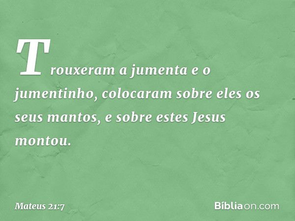 Trouxeram a jumenta e o jumentinho, colocaram sobre eles os seus mantos, e sobre estes Jesus montou. -- Mateus 21:7