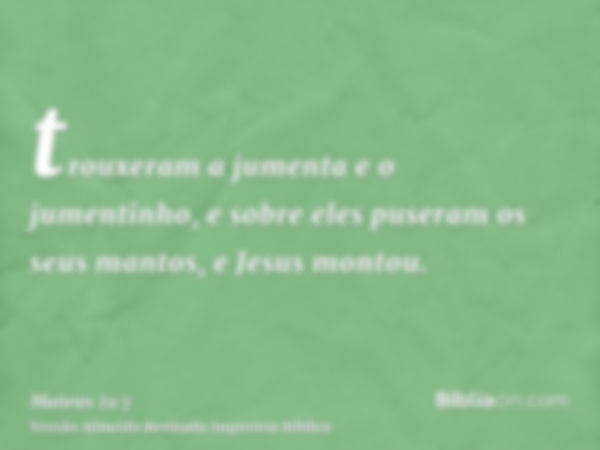 trouxeram a jumenta e o jumentinho, e sobre eles puseram os seus mantos, e Jesus montou.