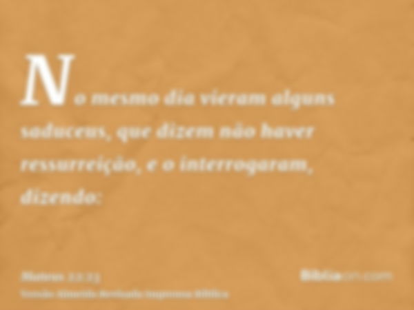 No mesmo dia vieram alguns saduceus, que dizem não haver ressurreição, e o interrogaram, dizendo: