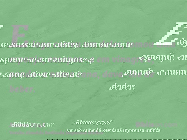 E logo correu um deles, tomou uma esponja, ensopou-a em vinagre e, pondo-a numa cana, dava-lhe de beber.