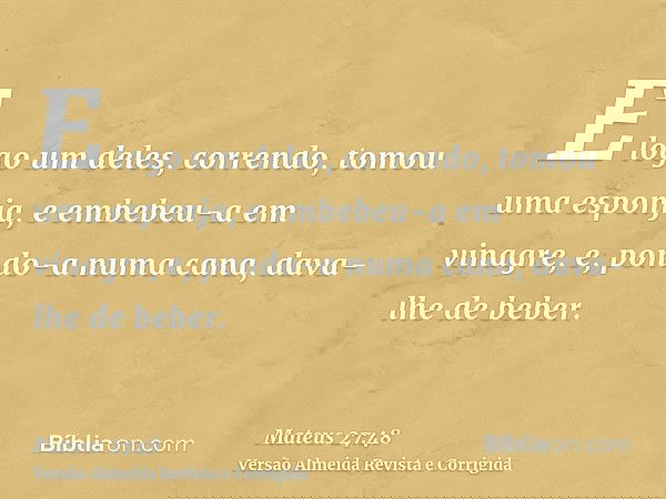 E logo um deles, correndo, tomou uma esponja, e embebeu-a em vinagre, e, pondo-a numa cana, dava-lhe de beber.