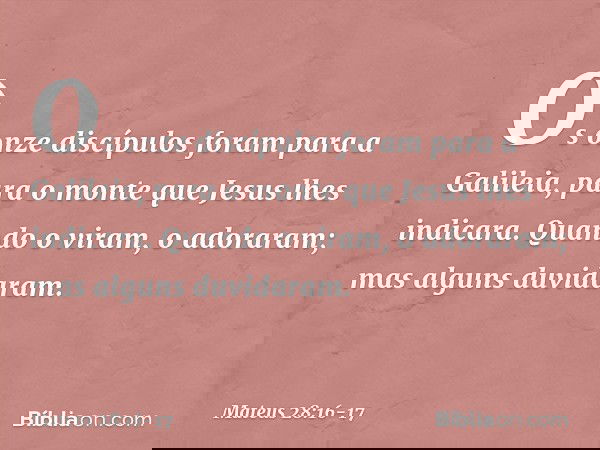 Os onze discípulos foram para a Galileia, para o monte que Jesus lhes indicara. Quando o viram, o adoraram; mas alguns duvidaram. -- Mateus 28:16-17