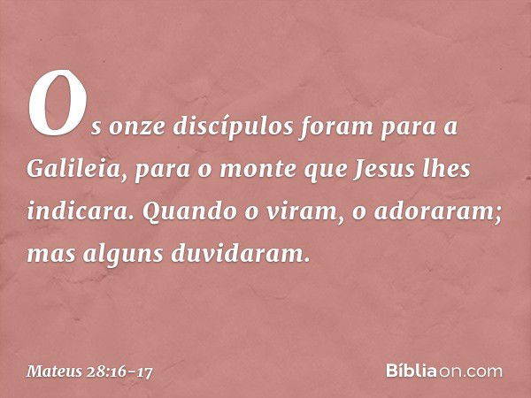 Os onze discípulos foram para a Galileia, para o monte que Jesus lhes indicara. Quando o viram, o adoraram; mas alguns duvidaram. -- Mateus 28:16-17