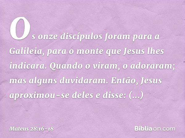 Os onze discípulos foram para a Galileia, para o monte que Jesus lhes indicara. Quando o viram, o adoraram; mas alguns duvidaram. Então, Jesus aproximou-se dele