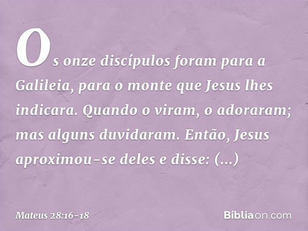 Os onze discípulos foram para a Galileia, para o monte que Jesus lhes indicara. Quando o viram, o adoraram; mas alguns duvidaram. Então, Jesus aproximou-se dele