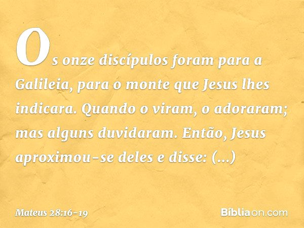 Os onze discípulos foram para a Galileia, para o monte que Jesus lhes indicara. Quando o viram, o adoraram; mas alguns duvidaram. Então, Jesus aproximou-se dele