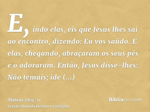 E, indo elas, eis que Jesus lhes sai ao encontro, dizendo: Eu vos saúdo. E elas, chegando, abraçaram os seus pés e o adoraram.Então, Jesus disse-lhes: Não temai