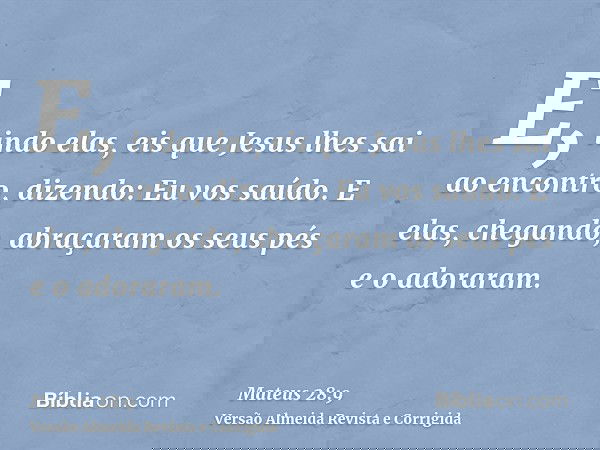 E, indo elas, eis que Jesus lhes sai ao encontro, dizendo: Eu vos saúdo. E elas, chegando, abraçaram os seus pés e o adoraram.