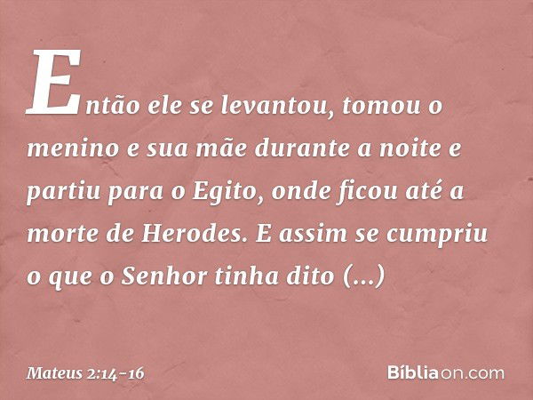 Então ele se levantou, tomou o menino e sua mãe durante a noite e partiu para o Egito, onde ficou até a morte de Herodes. E assim se cumpriu o que o Senhor tinh