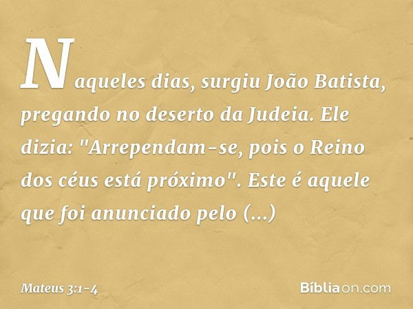 Mateus 3:1-4 - Bíblia