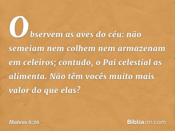 Observem as aves do céu: não semeiam nem colhem nem armazenam em celeiros; contudo, o Pai celestial as alimenta. Não têm vocês muito mais valor do que elas? -- 