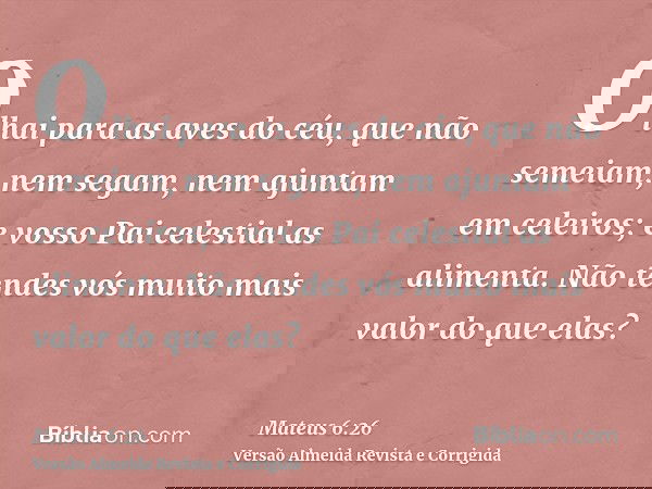 Olhai para as aves do céu, que não semeiam, nem segam, nem ajuntam em celeiros; e vosso Pai celestial as alimenta. Não tendes vós muito mais valor do que elas?