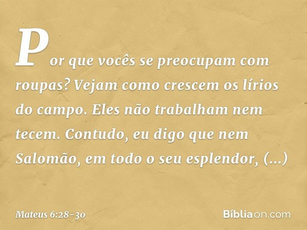 "Por que vocês se preocupam com roupas? Vejam como crescem os lírios do campo. Eles não trabalham nem tecem. Contudo, eu digo que nem Salomão, em todo o seu esp