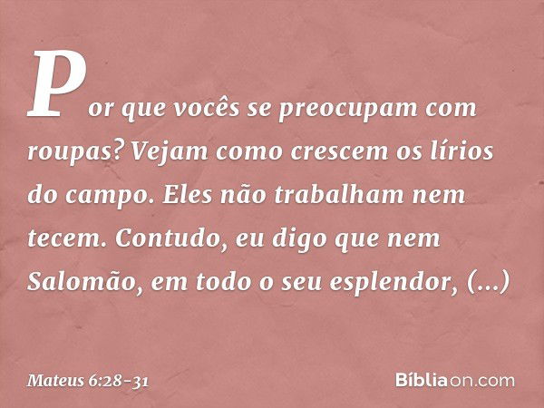 "Por que vocês se preocupam com roupas? Vejam como crescem os lírios do campo. Eles não trabalham nem tecem. Contudo, eu digo que nem Salomão, em todo o seu esp