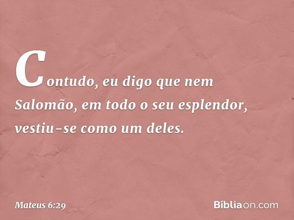 Contudo, eu digo que nem Salomão, em todo o seu esplendor, vestiu-se como um deles. -- Mateus 6:29