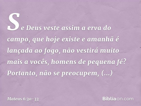 Se Deus veste assim a erva do campo, que hoje existe e amanhã é lançada ao fogo, não vestirá muito mais a vocês, homens de pequena fé? Portanto, não se preocupe