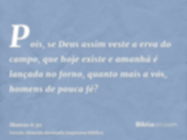 Pois, se Deus assim veste a erva do campo, que hoje existe e amanhã é lançada no forno, quanto mais a vós, homens de pouca fé?